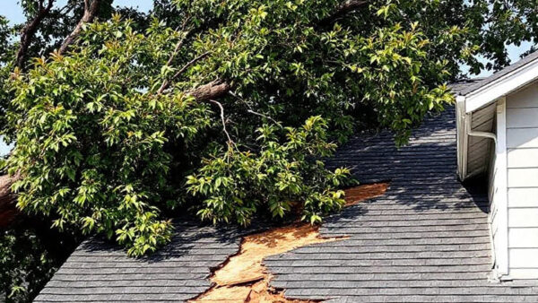 Tree damage requiring roof repair after storm causes major roof damage