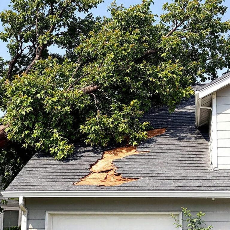 tree damage requiring roof repair after storm causes major roof damage